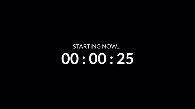 30 second Countdown timer animation from 30 seconds to 0 seconds on a transparent background. 30 seconds countdown timer with alpha channel in 4k. 