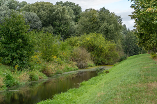 A quiet stream flows past a grassy bank bordered by dense forest trees under a softly clouded sky.