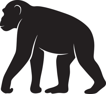 Black silhouette of walking chimpanzee ape in side profile isolated on transparent background for primate wildlife study and evolution concept graphics.