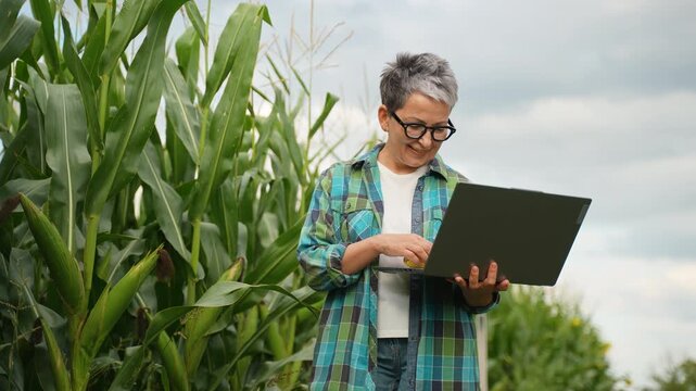 Female farmer using laptop inspecting corn cob quality