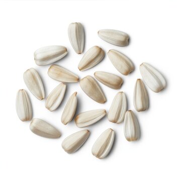 Pile of sunflower seeds isolated on white background. Healthy snack and ingredient for cooking.