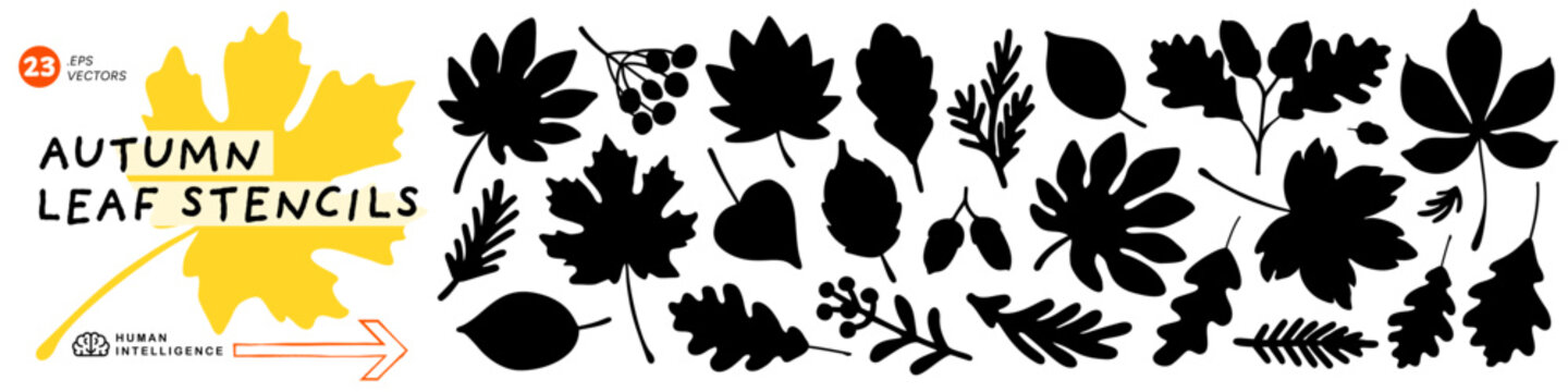 Autumn leaf stencils vector set with 23 black foliage silhouettes across oak, maple and pine tree branches. Bold outline shapes suit stamps, logos and die cuts, plus berries and acorns for variety