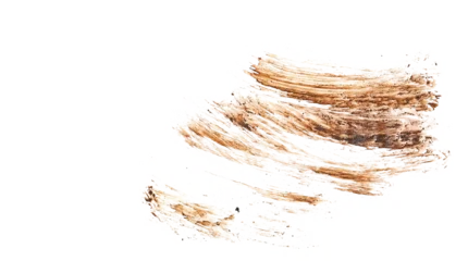 Fotobehang Sportwinkel Wet mud, stains texture isolated on white background, top view, clipping path  © dule964