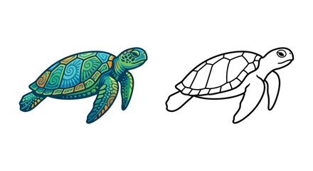 Fototapeta premium Sea turtle illustrations one colorful and one line drawing on white background