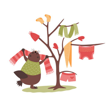 Cute beaver hanging colorful knitted clothes and scarves on a tree, cozy vector illustration isolated on white background.