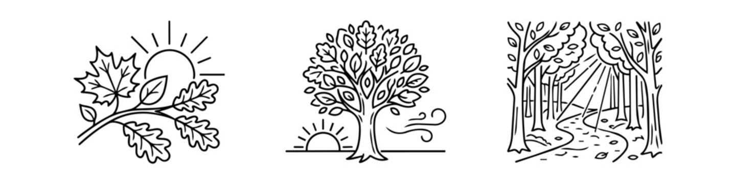 Set of minimalist nature line art illustrations featuring autumn leaves, a majestic tree with sun and wind, and a peaceful forest path with sun rays. Perfect for eco-friendly branding and decor.