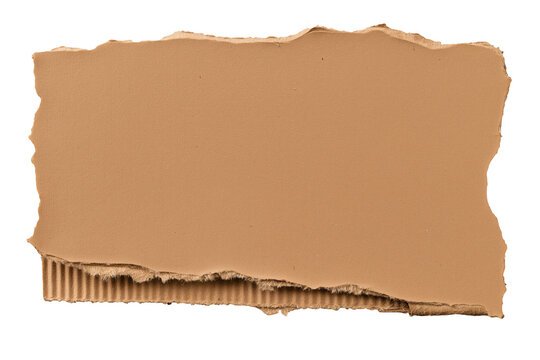 Torn cardboard rectangle with exposed corrugated layer for packaging mockups on a transparent background