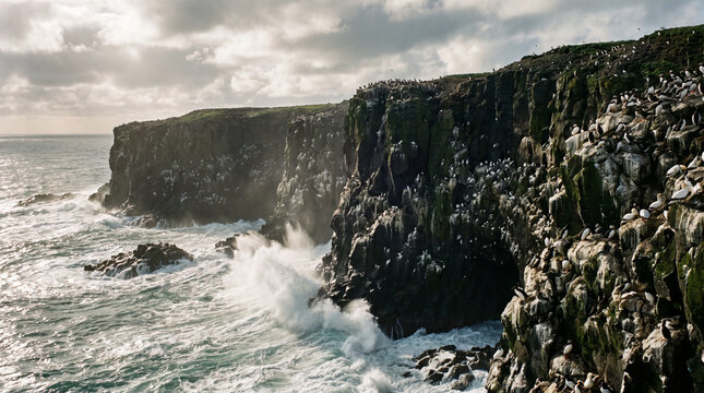 cliffs of moher