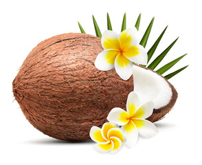 Fresh coconuts, plumeria flowers and green palm leaf isolated on white © New Africa