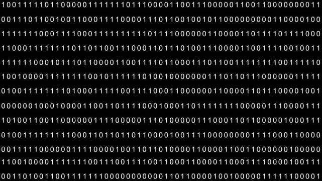 Modern digital background with moving white numbers, program and programmers