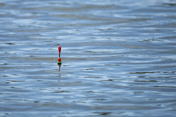 Dragonfly perched on a colorful fishing float on calm water © Paul V.