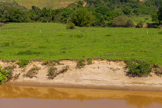 Margem do Rio Pomba assoreada pela retirada de mata ciliar