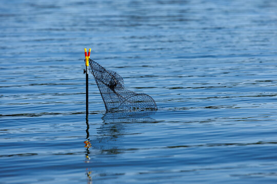 Black mesh fishing keepnet attached to a stand in calm blue lake water