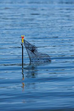 Fishing keepnet attached to a rod stand submerged in calm blue lake water