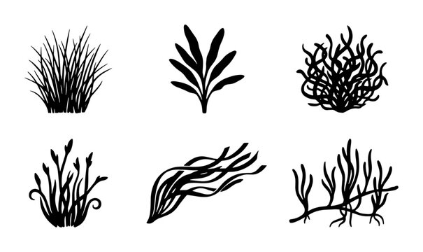 Black Silhouette Aquatic Plants Vector Set, Underwater Flora Icons, Marine Algae Illustrations for Nature Design
