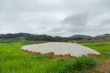 Área de silagem coberta com lona para alimentação de gado em área rural de Guarani, Minas Geais © Ronaldo Almeida