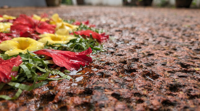 Rain-drenched botanical floor carpet on porous red laterite stone
