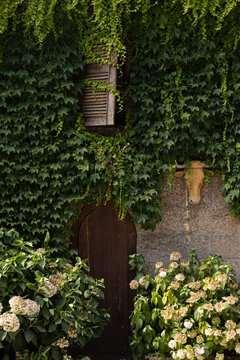 historic charming home, boutique hotel, cottage, with rounded wood doors and ivy walls and hydrangea