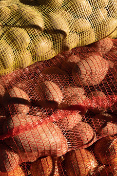 colorful sacks of potatoes, textural, bold, bright sunlight