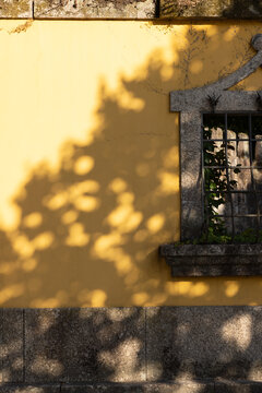 ate afternoon dappled sunlight and shadows, traditional window and balcony on historic building, architectural, vertical composition