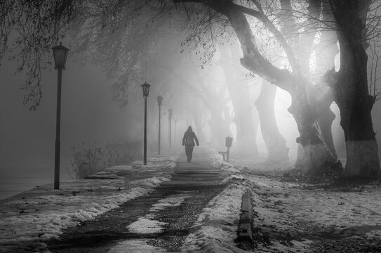 misty morning fog