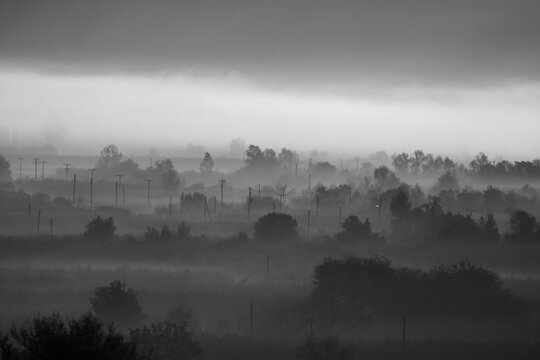 fog over the river