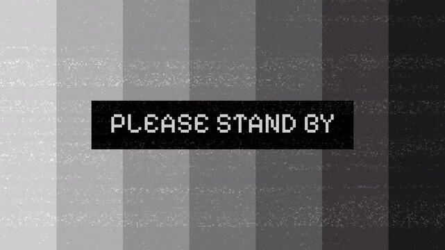Please Stand By - Black and White Television Test Pattern with Static and Glitch Effect.