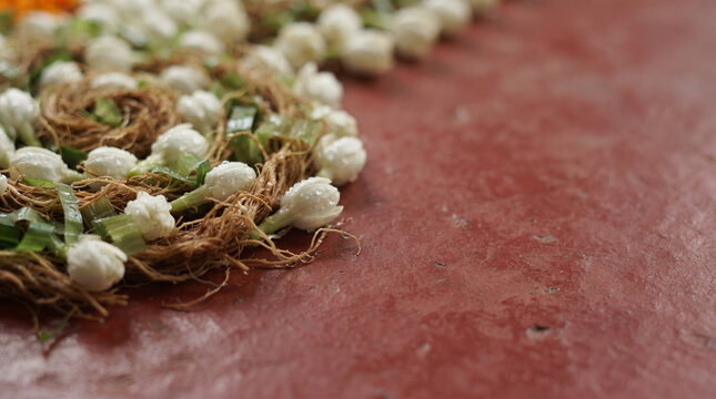 Macro shot of wet Arabian jasmine buds nested in fragrant vetiver