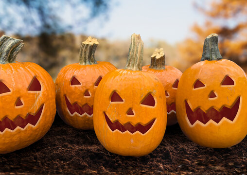 Group of carved Halloween pumpkins sitting on soil with a blurred autumn forest background