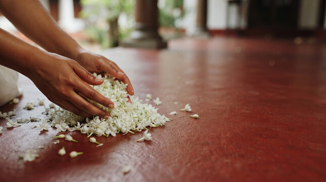 Two hands gently arranging delicate white Leucas aspera blossoms