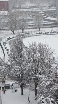 Heavy snow falling on urban landscape trees