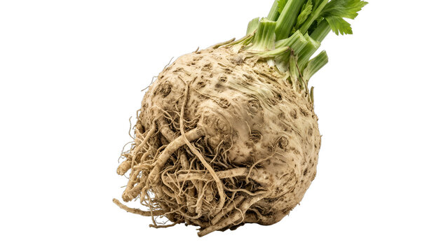 Fresh Celery Root Isolated on White Background