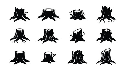 Fototapeta premium Various tree stumps with different shapes and root details on transparent background
