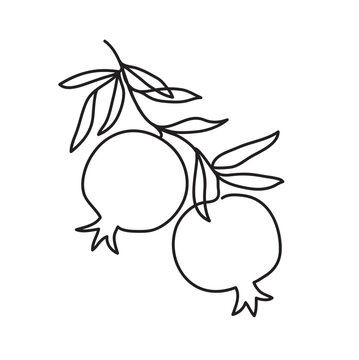 Branch with pomegranates and leaves. Shana Tova modern single line art drawing. Continuous line drawing. Outline draw design vector illustration