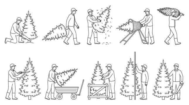 Christmas tree farmer growing fir trees line art set seasonal activities vector illustration