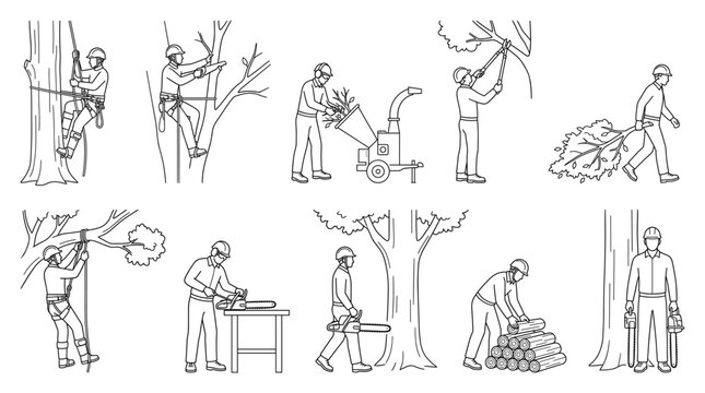 Arborist caring for trees line art set tree surgeon activities vector illustration