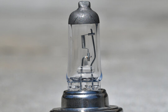 H7 halogen automotive headlight bulb with metal base and a clear glass capsule with an internal tungsten filament.