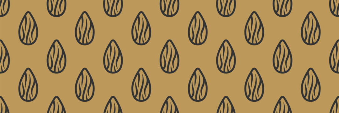Almond line nut and pattern packaging background with texture element organic. Brown vector peeled and simple seamless illustration with sweet outline nuts.
