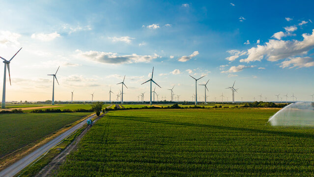 Sunset over wind farm and irrigated green farm field. Wide aerial shot of agricultural field with water sprinkler and wind turbines at sunset