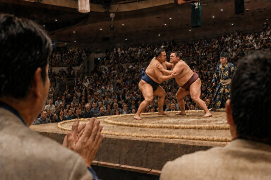 Excited Spectators Watching a Dramatic Sumo Bout in a Tokyo Arena