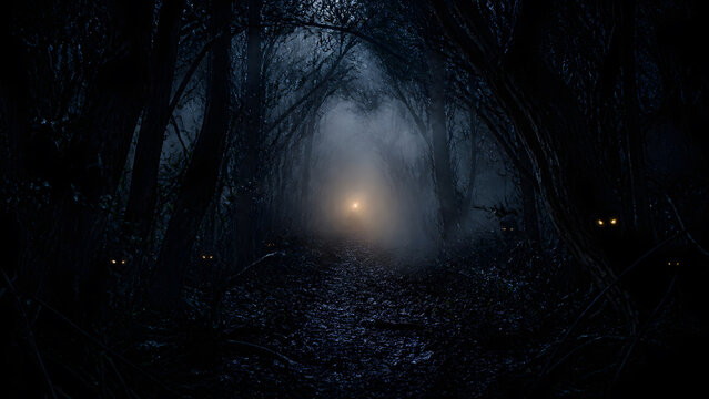 spooky forest path with glowing eye lurking in shadow beside dense misty tree lined trail