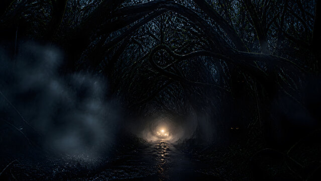 spooky dark tree tunnel with glowing eye watching from shadow beside warm light in fog