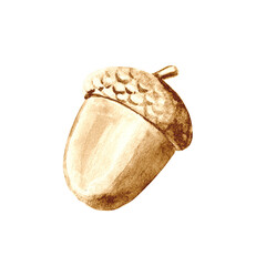 Golden acorn with detailed cap isolated on transparent background. Elegant metallic botanical element for autumn, woodland, fall, Thanksgiving and seasonal designs. © Olga