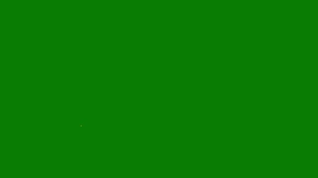 Cartoon fireworks circle blast animation with white line explosions, glowing spark trails, shiny geometric shapes, glitter dust effects, flat vector motion graphics, festive, green screen 4k