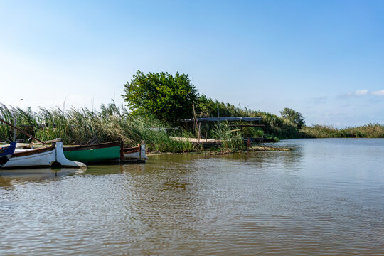 Peaceful wooden fishing boats moored on tranquil lake river shore surrounded by lush green reeds, trees, vibrant nature landscape under sunny blue sky, scenic countryside summer travel background