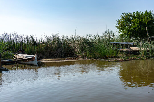 Peaceful wooden fishing boats moored on tranquil lake river shore surrounded by lush green reeds, trees, vibrant nature landscape under sunny blue sky, scenic countryside summer travel background