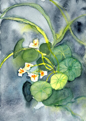 Botanical Leaves and Small Flowers on Dark Background, Expressive Hand-Painted Watercolor © pronoia