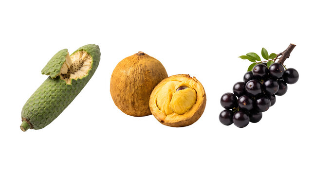 Exotic tropical fruit collection, fresh cupuacu and jabuticaba berries on white background, organic brazilian fruits set