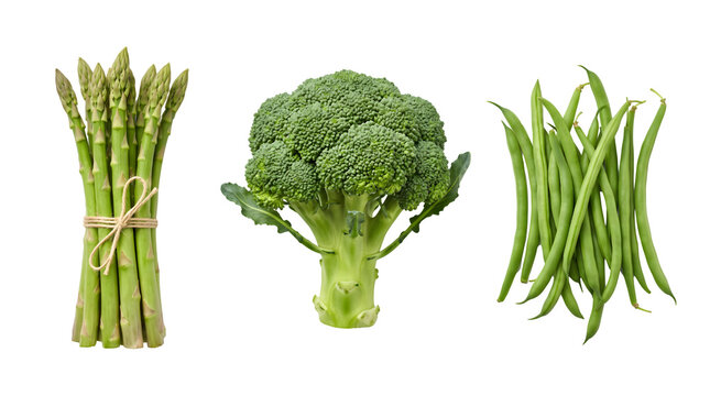 Fresh green vegetables set with asparagus, broccoli and green beans. Healthy organic raw food collection on white background.