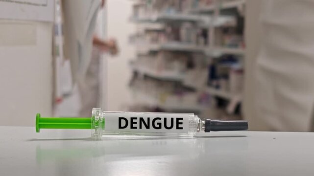 DENGUE medical and public health term associated with dengue and appropriate immunization strategies